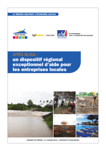 un dispositif régional exceptionnel d`aide pour les entreprises locales