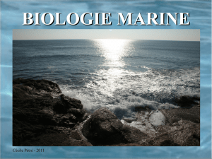 Biologie Marine