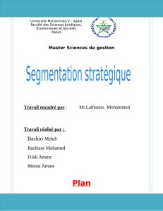 La segmentation stratégique