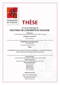 IMG - Thèses INP Toulouse