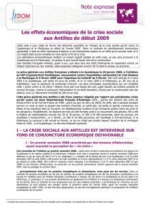 Les effets économiques de la crise sociale aux Antilles