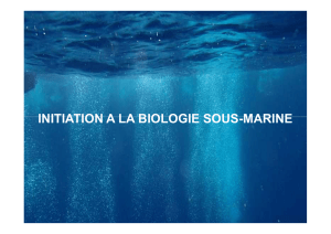 cours 1 initiation a la biologie sous marine