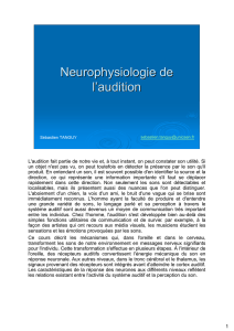 Neurophysiologie de l`audition