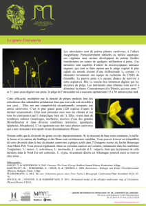 Le genre Utricularia - Jardin Botanique de Nancy