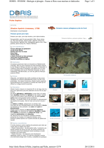 Page 1 of 3 DORIS - FFESSM - Biologie et plongée