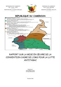 Rapport Mise en oeuvre de la CCLAT 2014