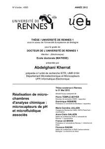 Abdelghani Kherrat - Université de Rennes 1