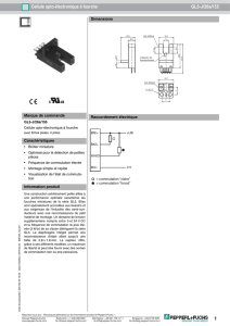 1 Cellule opto-électronique à fourche GL5-J/28a/155