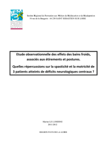 Nantes-2012-LE_LUHERNE-Neurologie
