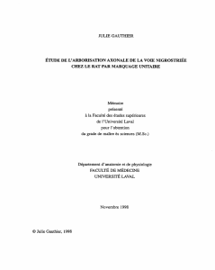 &Eacute;TUDE DE L`ARBORISA`ITON AXONALE DE LA VOIE NIGROS