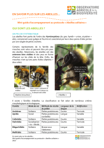 mini-guide abeilles - Observatoire Agricole de la Biodiversité