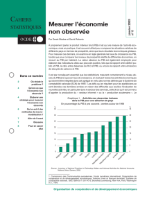 Mesurer l`&eacute;conomie non observ&eacute;e