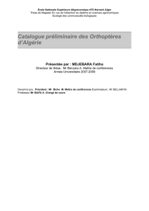 Catalogue préliminaire des Orthoptères d`Algérie