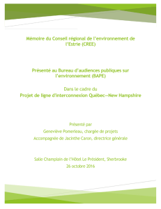 Mémoire du Conseil régional de l`environnement de l`Estrie (CREE