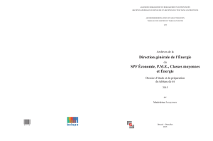 Direction g&eacute;n&eacute;rale de l`&Eacute;nergie SPF &Eacute;conomie, P.M.E., Classes