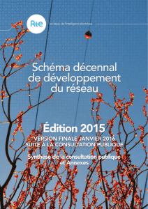 Schéma décennal de développement du reseau 2015 final