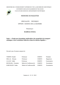 memoire de magister