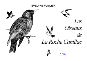 Les Oiseaux de La Roche Canillac