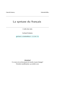 La syntaxe du français