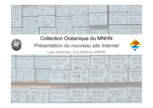 Collection Océanique du MNHN Présentation du nouveau