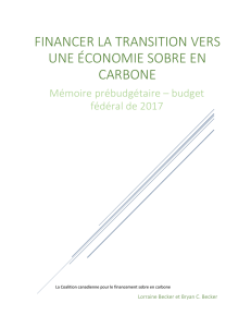 financer la transition vers une économie sobre en carbone