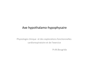 Axe hypothalamo