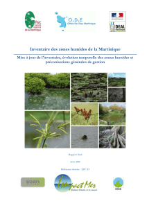 Inventaire des zones humides de la Martinique