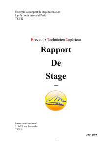 Rapport De Stage