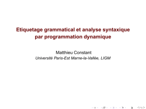 Etiquetage grammatical et analyse syntaxique par programmation