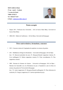 CV rémi mencarelli - Irège - Université Savoie Mont Blanc