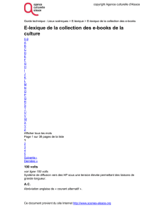 E-lexique de la collection des e-books de la culture - E
