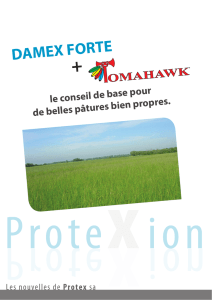 Protexion 11.indd