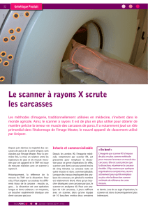 Le scanner à rayons X scrute les carcasses