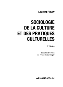 sociologie de la culture et des pratiques culturelles