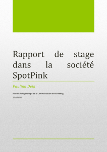 Extrait du Rapport de stage chez Spotpink Paulina