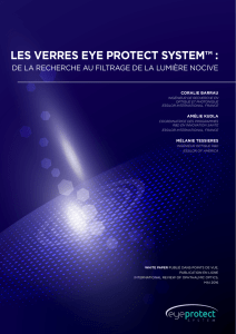 les verres eye protect system