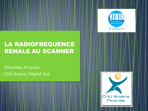 LA RADIOFREQUENCE RENALE AU SCANNER