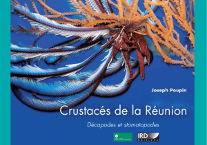 Crustacés de la Réunion : décapodes et - Joseph Poupin, CV