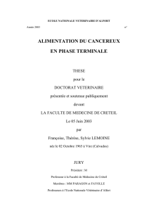 alimentation du cancereux en phase terminale