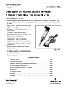 Rosemount 2110, Détecteur de niveau liquide compact à lames