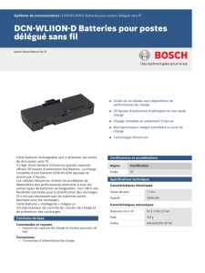 DCN-WLIION-D Batteries pour postes délégué sans fil