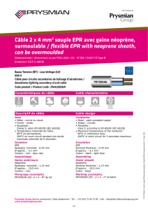 Câble 2 x 4 mm2 souple EPR avec gaine néoprène, surmoulable