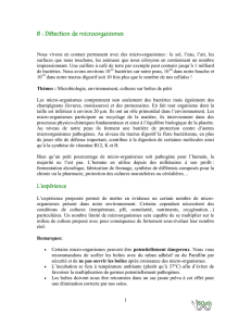 PDF français