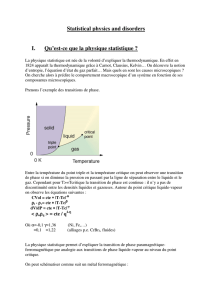 Statistical physics and disorders I. Qu`est