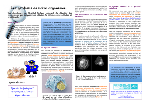 09-20-12 Kerner_final - Arc Espace Chercheurs