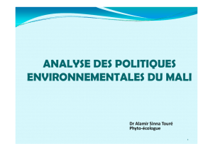 analyse des politiques environnementales du mali