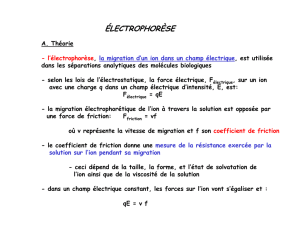 3-Electrophorèse