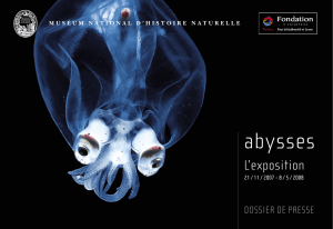 abysses - Galerie de Minéralogie et de Géologie