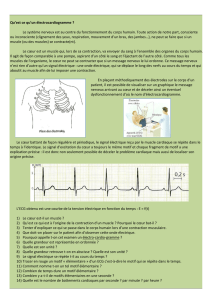 Qu`est ce qu`un électrocardiogramme ? Le système nerveux est au