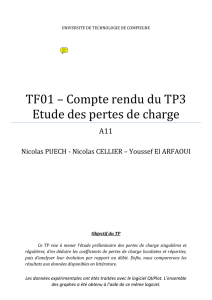 TF01 – Compte rendu du TP3 Etude des pertes de charge